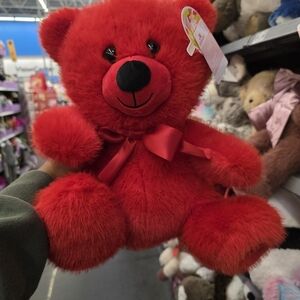 Red Plush Teddy Bear
